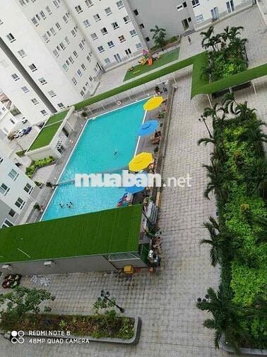 Topaz home cho thuê full nội thất