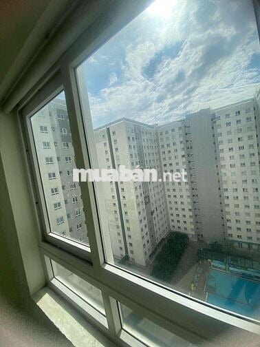 Topaz home cho thuê full nội thất