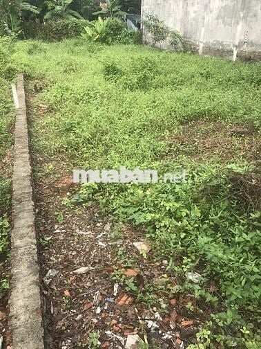 Cần bán thửa đất, 10 m mặt tiền: 23b, Đ Linh Đông, P. Hiệp Bình, HCM