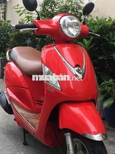 Elizabeth Fi màu đỏ bstp