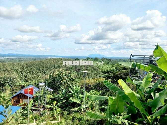 🌿 LÀM HÀNG XÓM VỚI MẢNH VƯỜN GIÁP SUỐI – VIEW HỒ TRỊ AN 850TR/1000M2