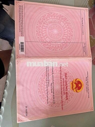 Cần bán gấp nhà và đất xã An Phước, ( ấp 4 Tam An Cũ)