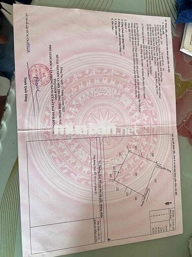 Cần bán gấp nhà và đất xã An Phước, ( ấp 4 Tam An Cũ)