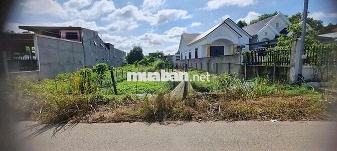 Bán Gấp Đất Giá Rẻ Bàu Bàng 500m2 420tr.Sổ riêng.Gần chợ,Xây cho thuê