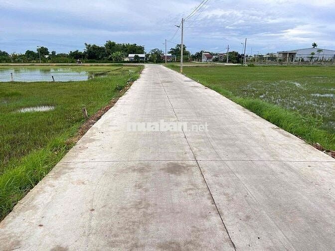 Bán đất thổ cư 5x30 Đường Bê Tông 4m