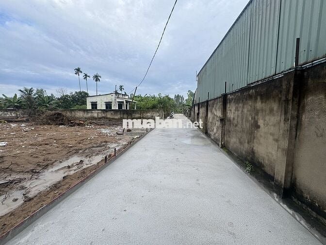 Bán 3 lô đất phân lô đường Xuân Thới Sơn 11, gần Vinhomes Hóc Môn