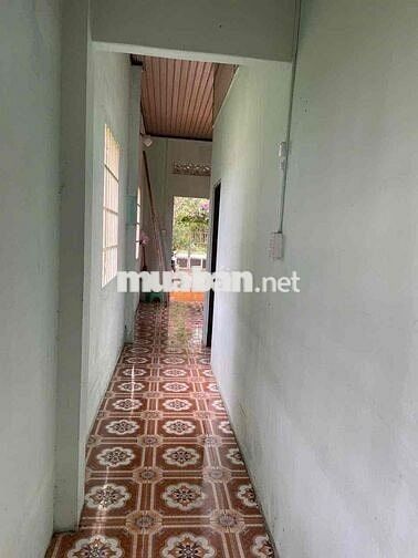 Nhà cấp 4, full thổ cư, mặt tiền 387, Tân An Hội