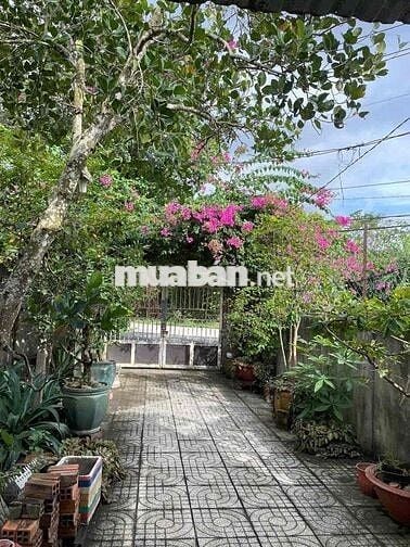 Nhà cấp 4, full thổ cư, mặt tiền 387, Tân An Hội