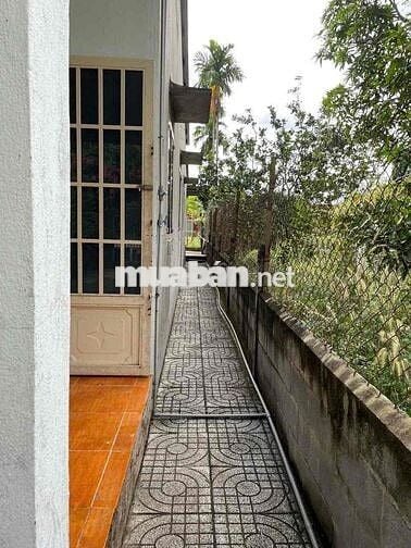 Nhà cấp 4, full thổ cư, mặt tiền 387, Tân An Hội