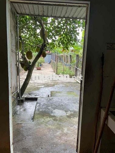 Nhà cấp 4, full thổ cư, mặt tiền 387, Tân An Hội