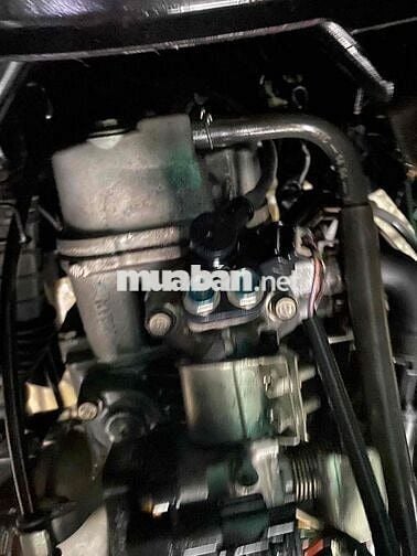 ab thái cuối đời 2011 , biển thành phố , chính chủ