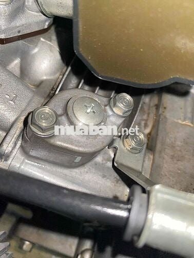 ab thái cuối đời 2011 , biển thành phố , chính chủ