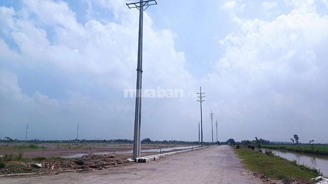 Cho thuê đất cụm công nghiệp Giang Biên, Hải Phòng từ 1 - 50ha