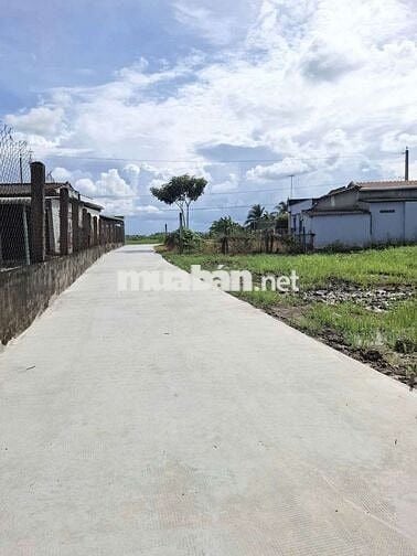 500m2 VƯỜN đường Bê Tông Xe Tải 650 Triệu, Nền Cao, Sổ Sẵn dân đông