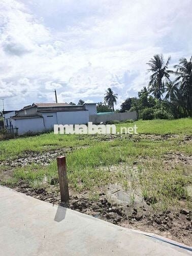 500m2 VƯỜN đường Bê Tông Xe Tải 650 Triệu, Nền Cao, Sổ Sẵn dân đông