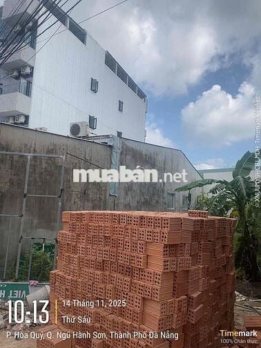 Hoa hậu kiệt Nam Kỳ Khởi Nghĩa. sát vách làng đại học