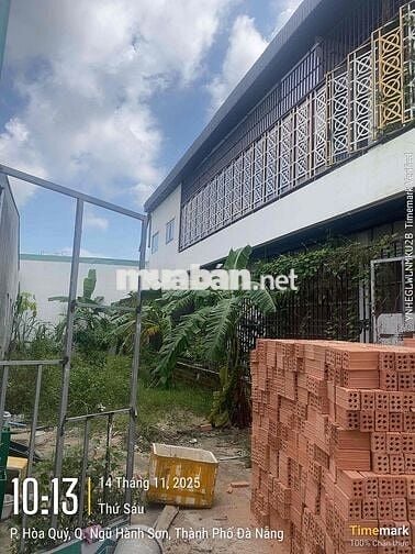 Hoa hậu kiệt Nam Kỳ Khởi Nghĩa. sát vách làng đại học