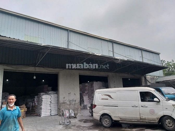 CÔNG TY CP KHẢI MINH KMG TUYỂN GẤP NHÂN VIÊN LÁI XE TẢI BẰNG B2 HOẶC C