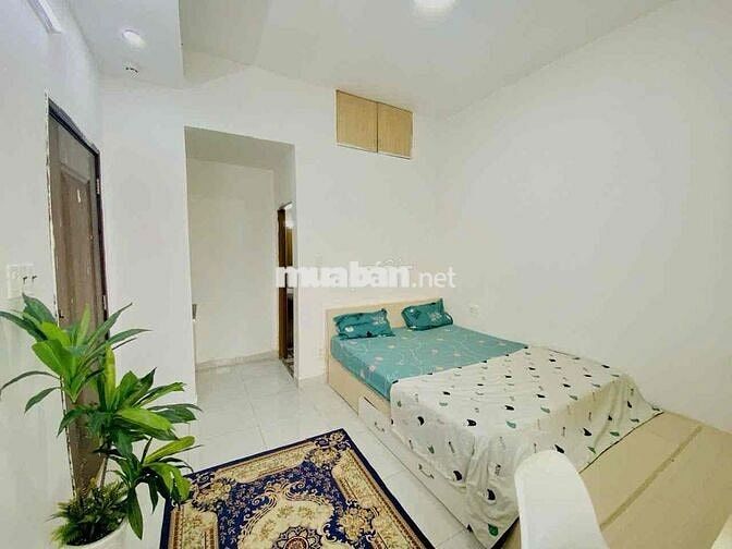 Căn Hộ Giá Rẻ Sát Lotte Dành Cho Sinh Viên Quận 7