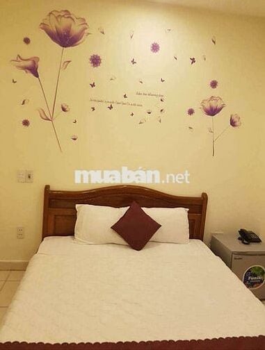 CHO THUÊ PHÒNG TRỌ NGAY PHỐ ĐI BỘ ĐƯỜNG AN THƯỢNG 2