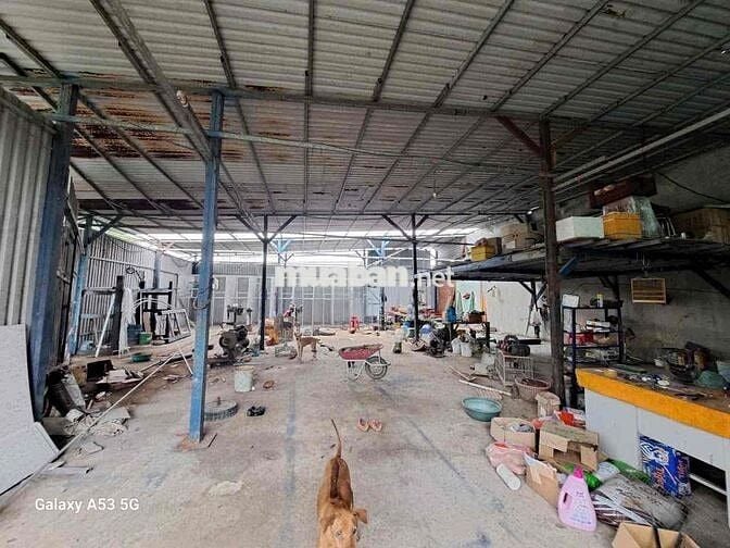 Đất sổ đỏ 1562m2 Phước Lý, Cần Giuộc, Long An