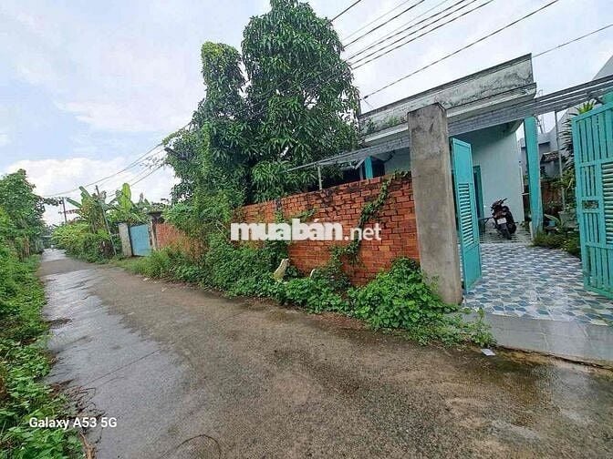 Đất sổ đỏ 1562m2 Phước Lý, Cần Giuộc, Long An