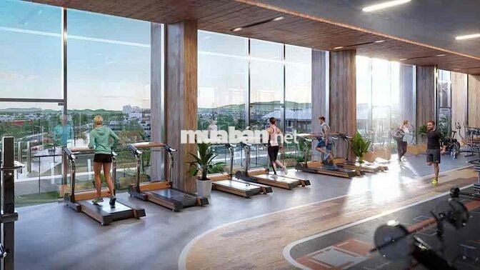 Chung cư Panoma 1 - ngay cầu Trần Thị Lý - Biển Mỹ Khê