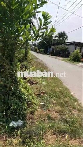 CẦN CHO THUÊ NHÀ CÓ SÂN VƯỜN – GIÁ TỐT – CỦ CHI