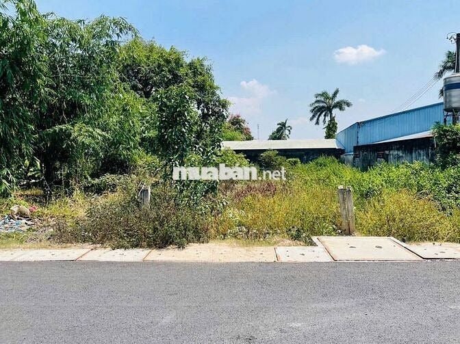 BÁN ĐẤT THỔ NGAY CHỢ PHƯỚC THẠNH CHỈ 6TR/M2 - SHR