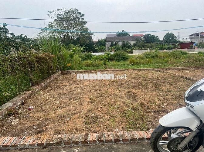 🔥 LÔ ĐẤT ĐẸP – Ô TÔ 5 CHỖ TẬN NƠI – TT  QUANG MINH– CHỈ 2.8 TỶ 50M2 🔥