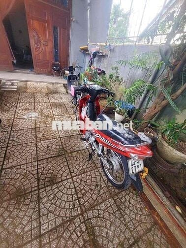 sirius thái êm bốc