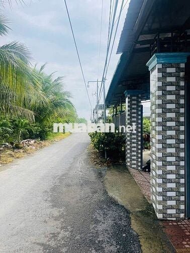 Bán gấp căn nhà  chợ Việt Kiều , Tân Thông Hội 113m2 SHR giá 910 triệu