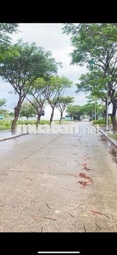 Chính chủ bán lô biệt thự 250m2 GODENL HILLS