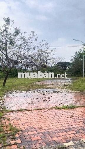 Chính chủ bán lô biệt thự 250m2 GODENL HILLS