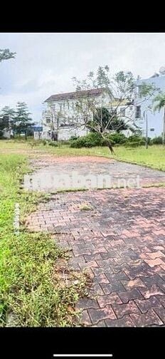 Chính chủ bán lô biệt thự 250m2 GODENL HILLS