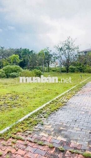 Chính chủ bán lô biệt thự 250m2 GODENL HILLS