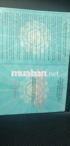 Mercedes-Benz S500 2001 Đen