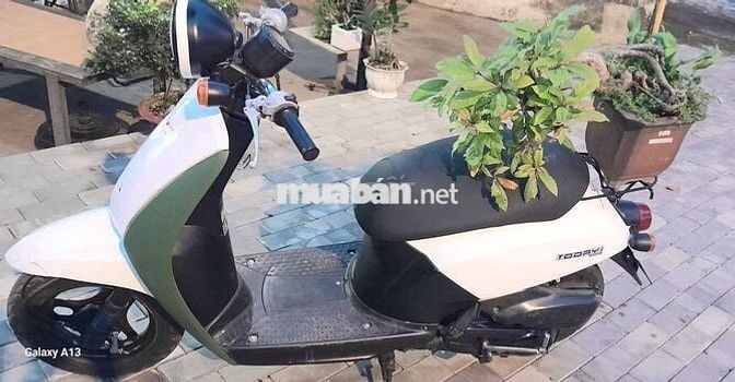 Honda Today Trắng Xanh lá