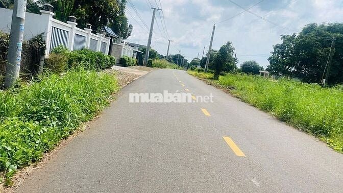 Cần ra lô đất đẹp thuộc TP. HCM, cách trục đường DH507 chỉ 200m, SHR