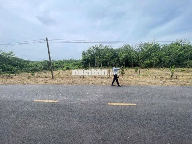 Sang nhượng lại 250m2 lô đất mặt tiền DH519 Phước Thành HCM, giá rẻ