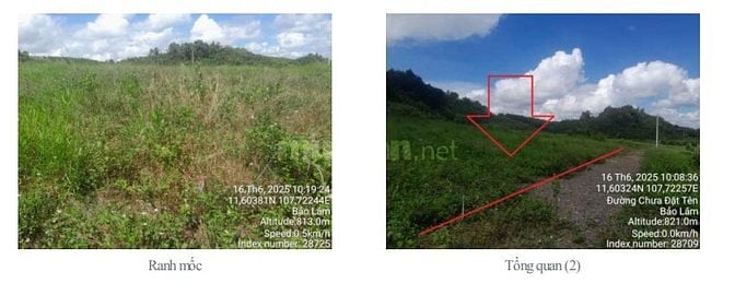 BÁN ĐẤU GIÁ TS MSB TẠI BẢO LÂM (NAY LÀ P2 BẢO LỘC, LÂM ĐỒNG)