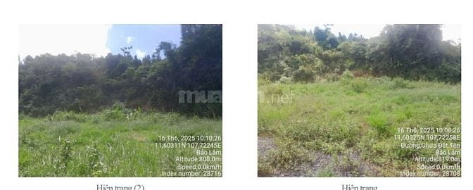 BÁN ĐẤU GIÁ TS MSB TẠI BẢO LÂM (NAY LÀ P2 BẢO LỘC, LÂM ĐỒNG)