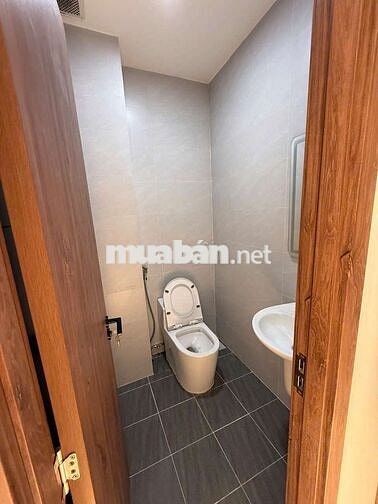 Bán nhà mới full nội thất Trần Hưng Đạo P7 Q5