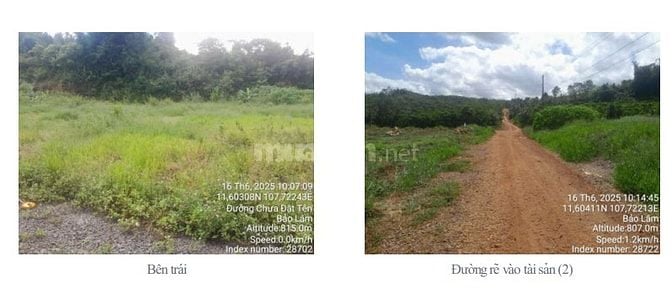 BÁN ĐẤU GIÁ TS MSB TẠI BẢO LÂM (NAY LÀ P2 BẢO LỘC, LÂM ĐỒNG)