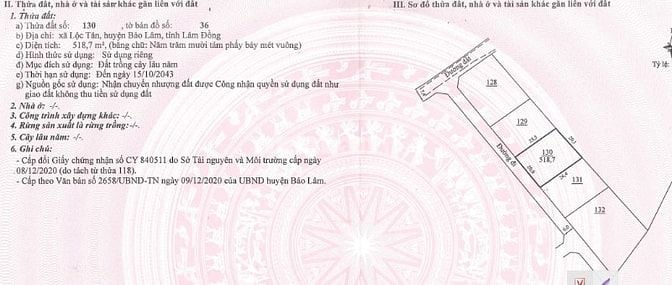 BÁN ĐẤU GIÁ TS MSB TẠI BẢO LÂM (NAY LÀ P2 BẢO LỘC, LÂM ĐỒNG)