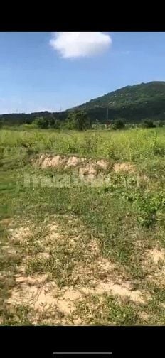 Chính chủ bán đất P Cam Ranh 12x43m đường ô tô 4,5m 1 Trục Lê Duẩn