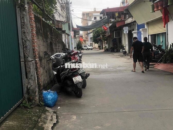 Đất 250m2 ngang 14m Mặt tiền Trang Quan chưa sổ 3,9 tỷ