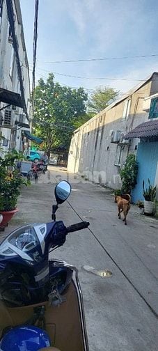 Bán nhà đường C4, Phạm Hùng, TP.HCM