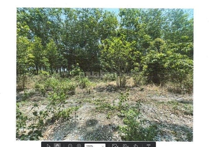 BÁN ĐẤU GIÁ TS VIB L9_XÃ TIẾN HƯNG, ĐỒNG XOÀI, BÌNH PHƯỚC