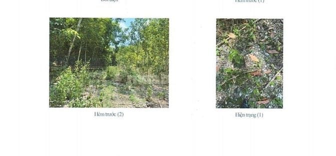 BÁN ĐẤU GIÁ TS VIB L9_XÃ TIẾN HƯNG, ĐỒNG XOÀI, BÌNH PHƯỚC